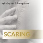 Scar
