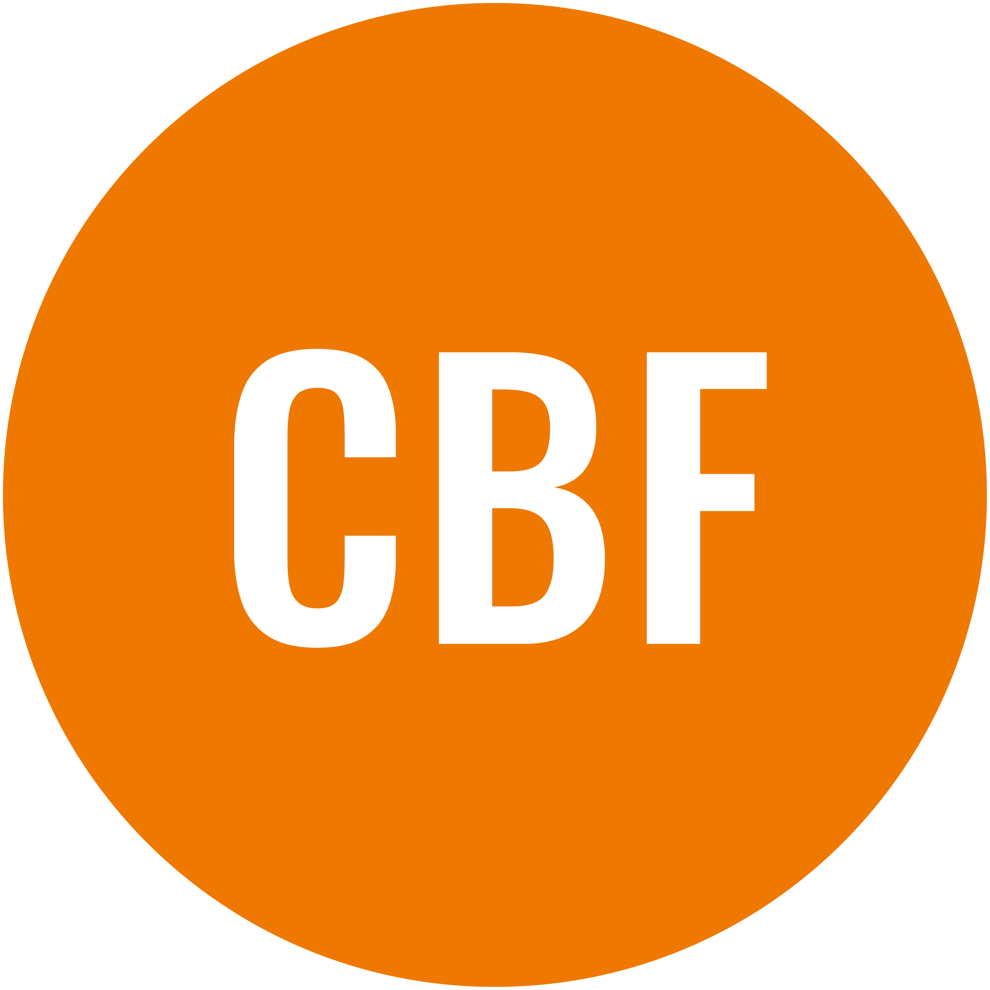 CHS Discs_CBF CBF - Image 1